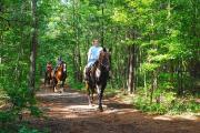 Hard Labor Creek State Park - Horse & Mountain Bike Riding Trails