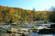 Photo: SWEETWATER CREEK STATE PARK