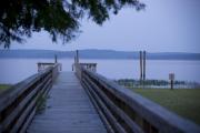 Photo: George T Bagby State Park